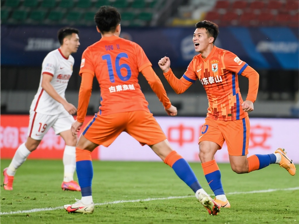 但在随后的 但在随后的