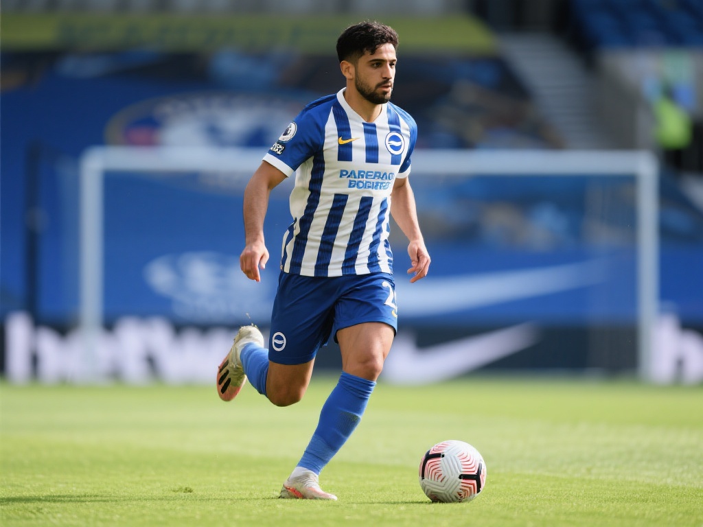 增加赞助和 增加赞助和